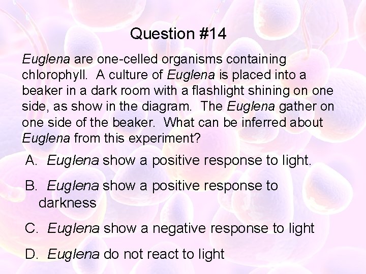 Question #14 Euglena are one-celled organisms containing chlorophyll. A culture of Euglena is placed