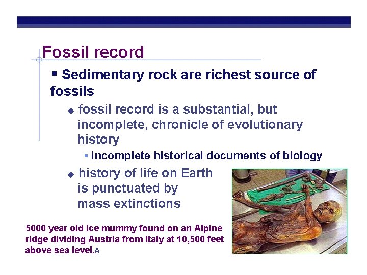Fossil record Sedimentary rock are richest source of fossils fossil record is a substantial,