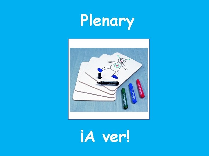 Plenary ¡A ver! 