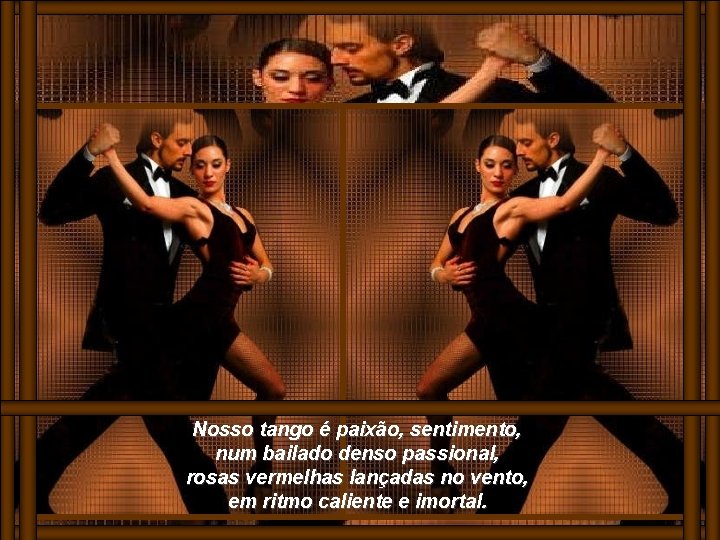 Nosso tango é paixão, sentimento, num bailado denso passional, rosas vermelhas lançadas no vento,