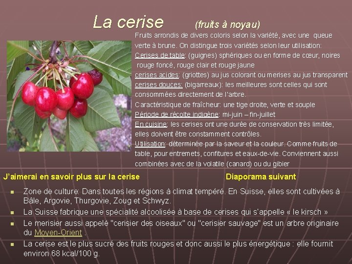 La cerise (fruits à noyau) Fruits arrondis de divers coloris selon la variété, avec