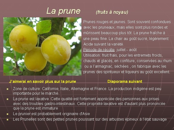 La prune (fruits à noyau) Prunes rouges et jaunes. Sont souvent confondues avec les