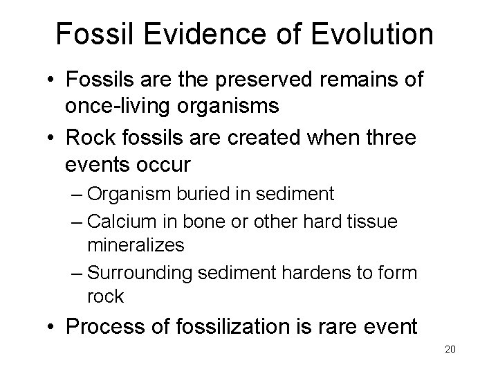 Fossil Evidence of Evolution • Fossils are the preserved remains of once-living organisms •