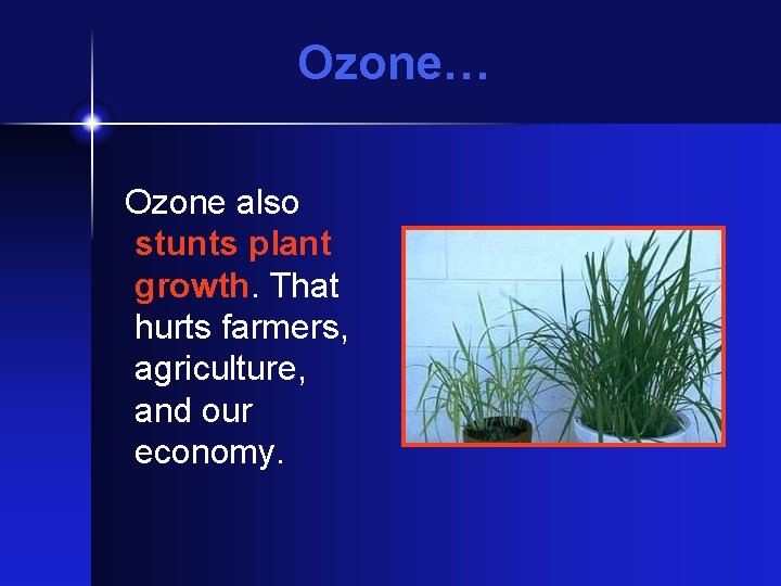 Ozone… Ozone also stunts plant growth. That hurts farmers, agriculture, and our economy. 