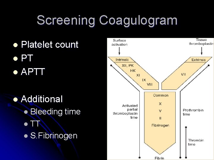 Screening Coagulogram Platelet count l PT l APTT l l Additional l Bleeding time