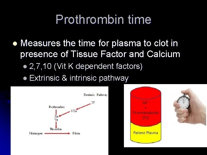 Prothrombin time l Measures the time for plasma to clot in presence of Tissue