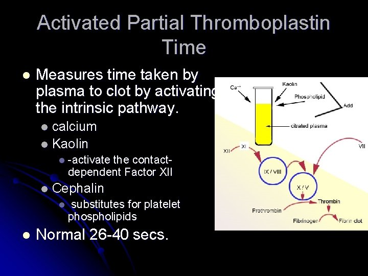 Activated Partial Thromboplastin Time l Measures time taken by plasma to clot by activating