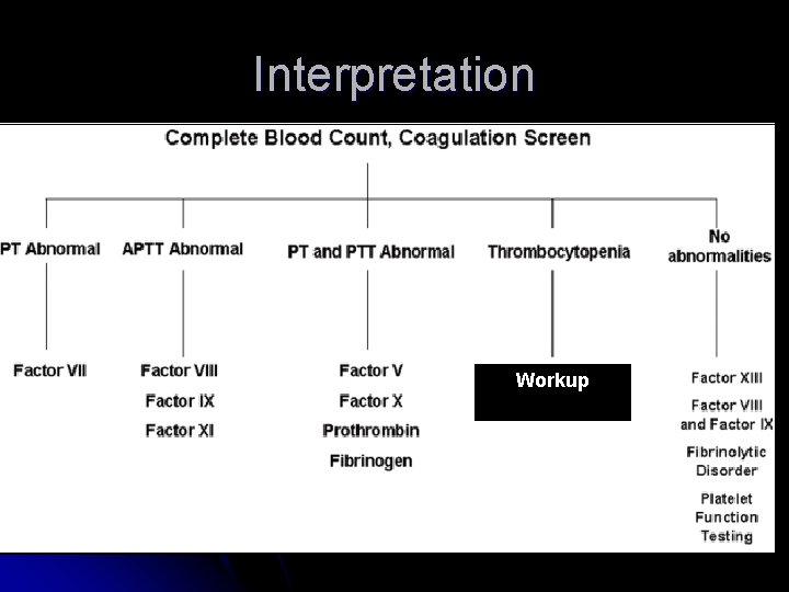 Interpretation Workup 