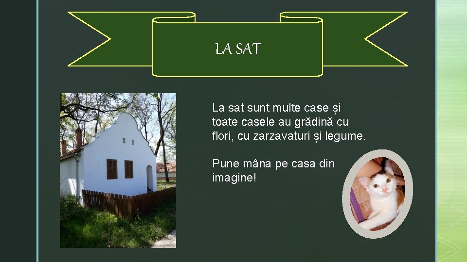 LA SAT La sat sunt multe case și toate casele au grădină cu flori,