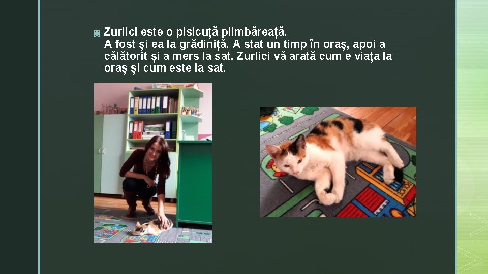 z Zurlici este o pisicuță plimbăreață. A fost și ea la grădiniță. A stat