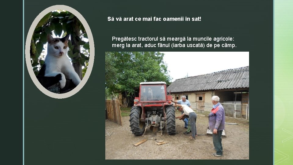 Să vă arat ce mai fac oamenii în sat! Pregătesc tractorul să meargă la