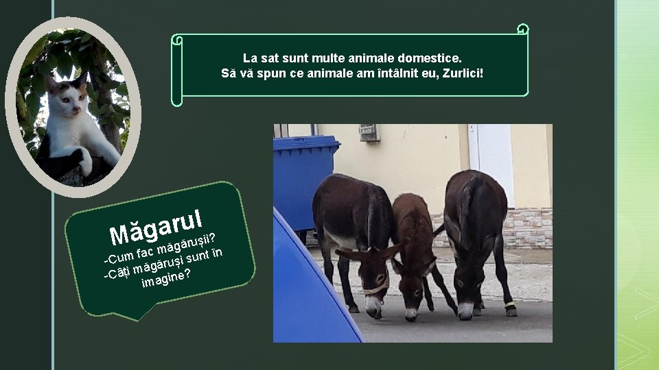 La sat sunt multe animale domestice. Să vă spun ce animale am întâlnit eu,
