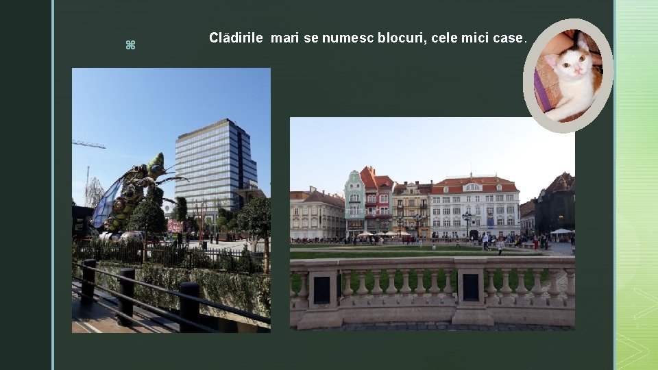 z Clădirile mari se numesc blocuri, cele mici case. 