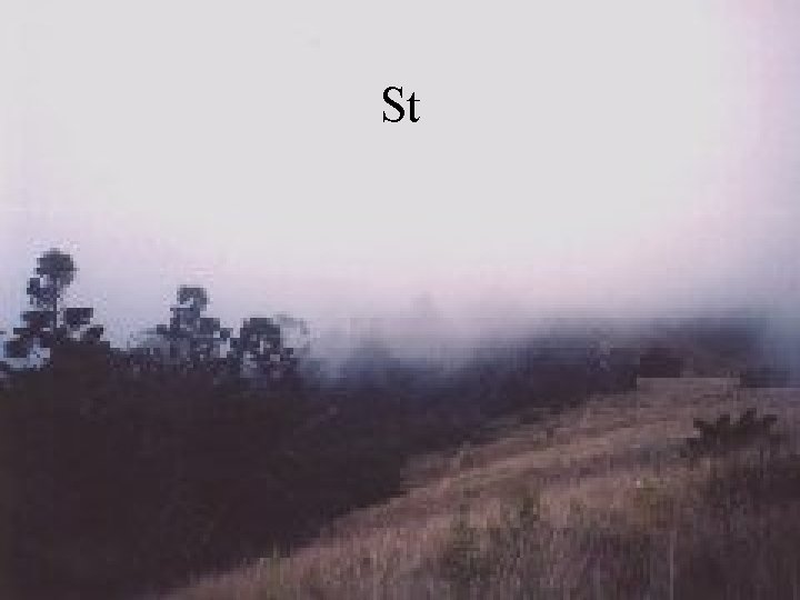 St 