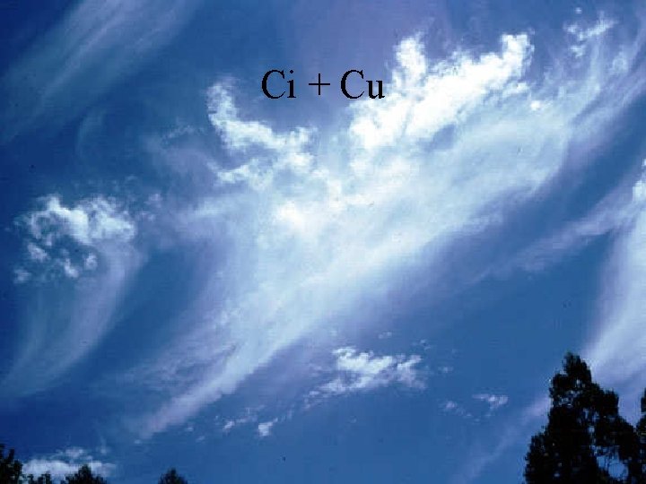 Ci + Cu 