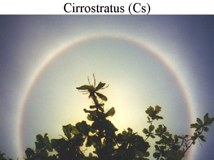 Cirrostratus (Cs) 