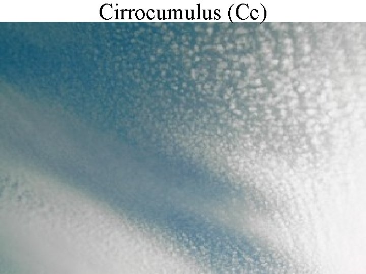 Cirrocumulus (Cc) 