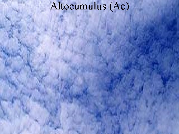 Altocumulus (Ac) 