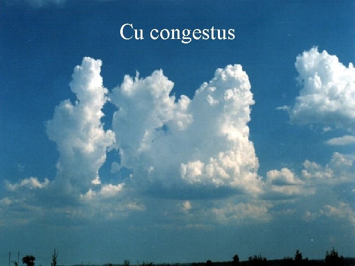 Cu congestus 