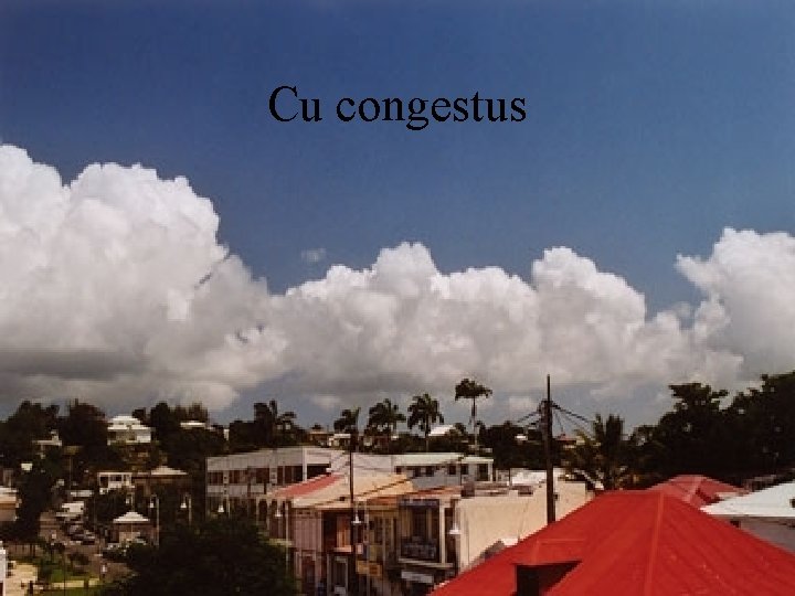 Cu congestus 