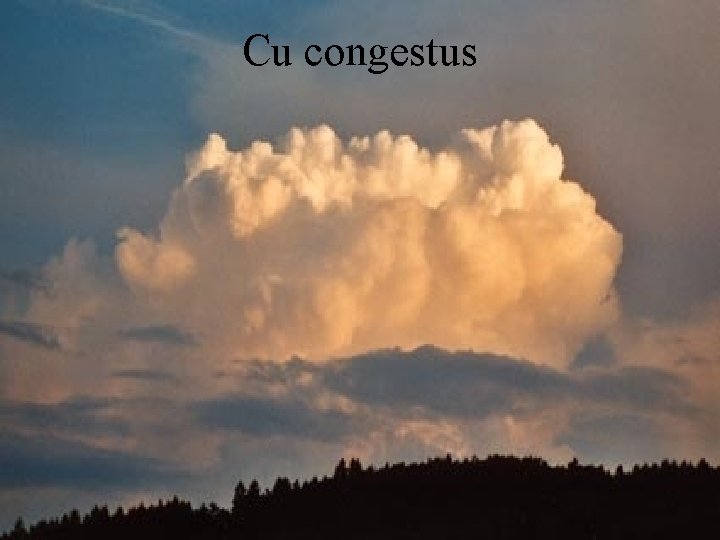 Cu congestus 