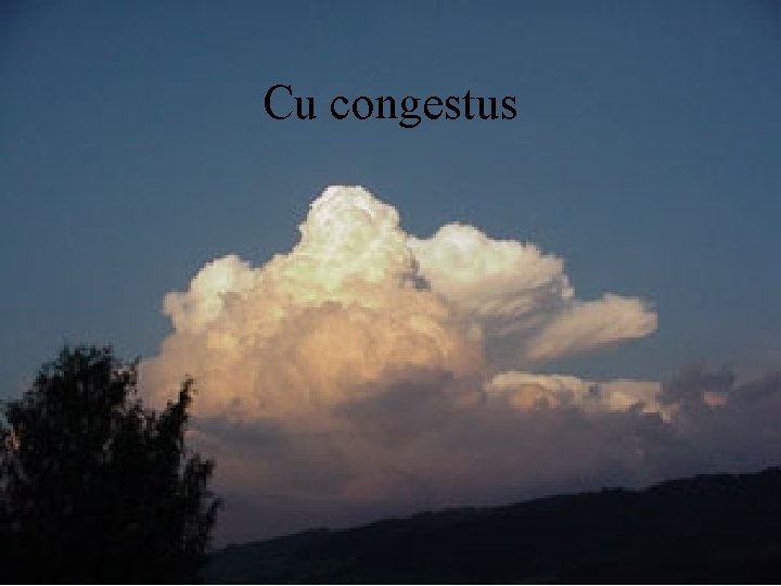 Cu congestus 