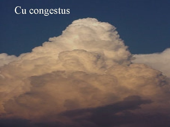 Cu congestus 
