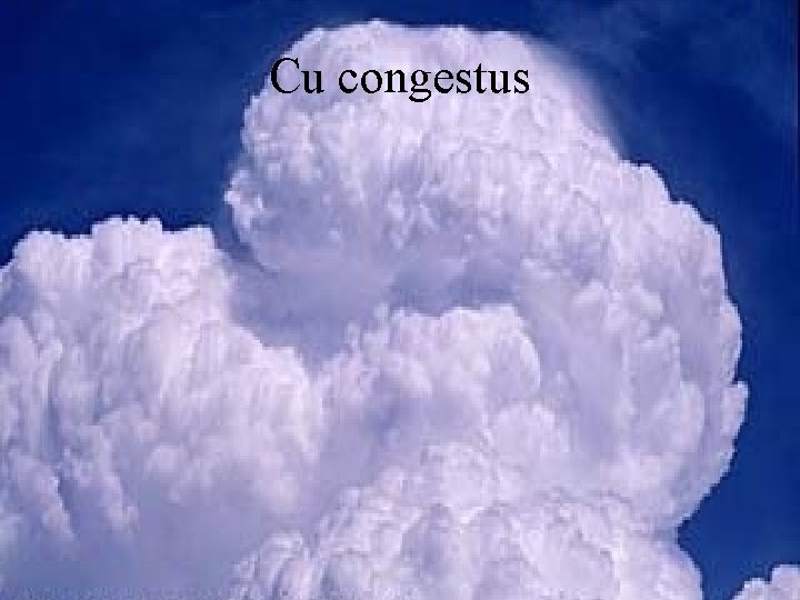 Cu congestus 