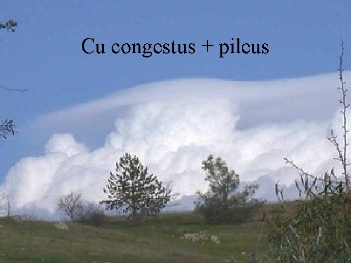 Cu congestus + pileus 