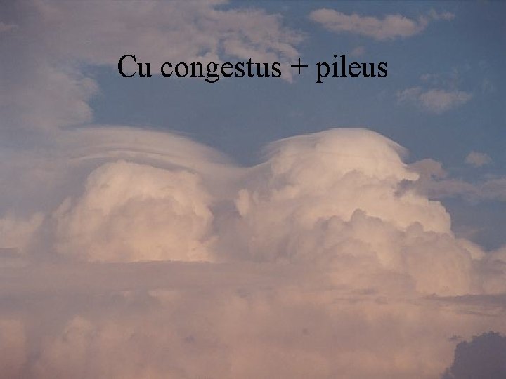 Cu congestus + pileus 