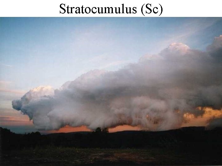 Stratocumulus (Sc) 