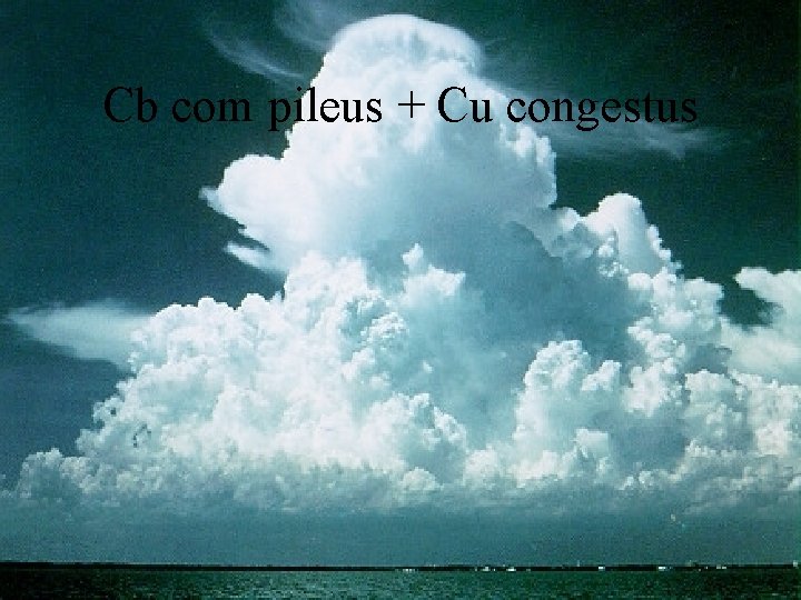 Cb com pileus + Cu congestus 