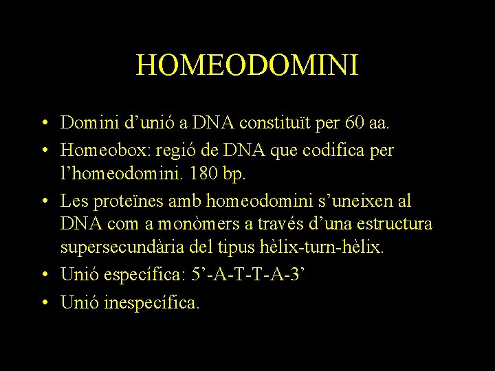 HOMEODOMINI • Domini d’unió a DNA constituït per 60 aa. • Homeobox: regió de