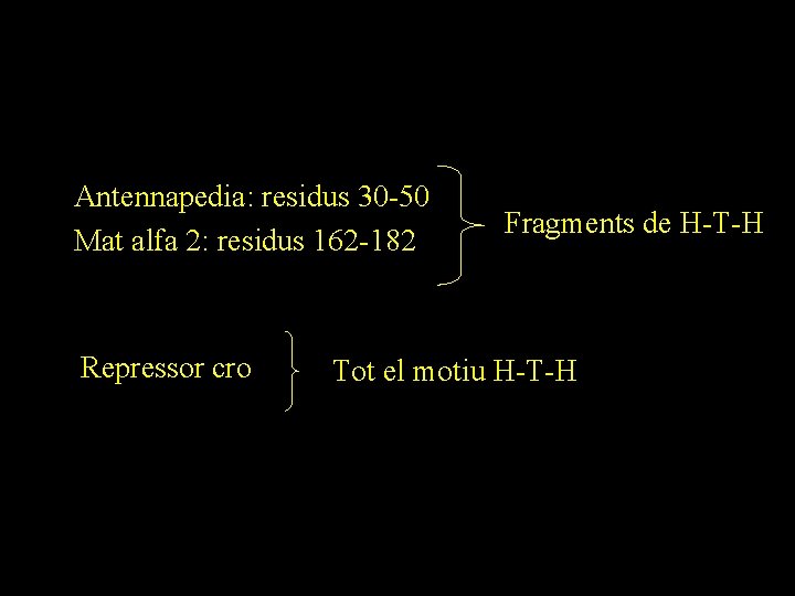 Antennapedia: residus 30 -50 Mat alfa 2: residus 162 -182 Repressor cro Fragments de