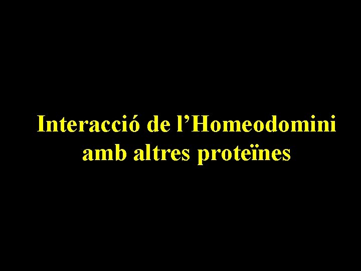 Interacció de l’Homeodomini amb altres proteïnes 