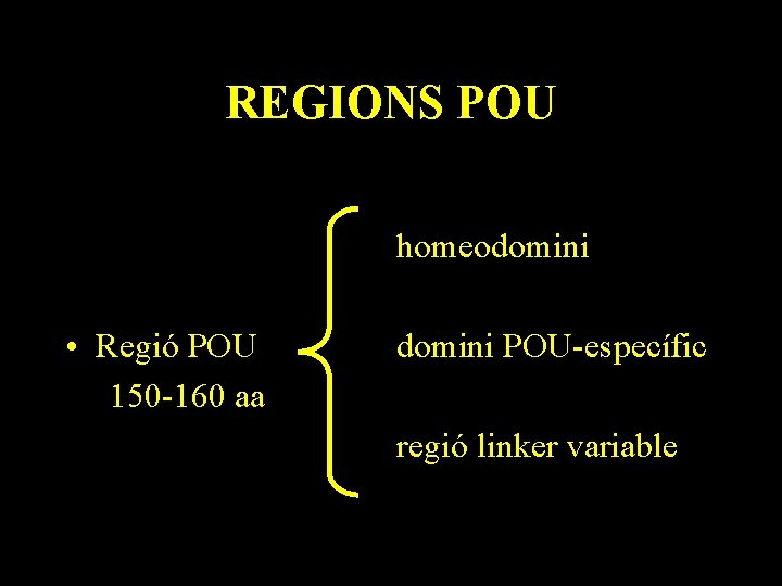 REGIONS POU homeodomini • Regió POU 150 -160 aa domini POU-específic regió linker variable
