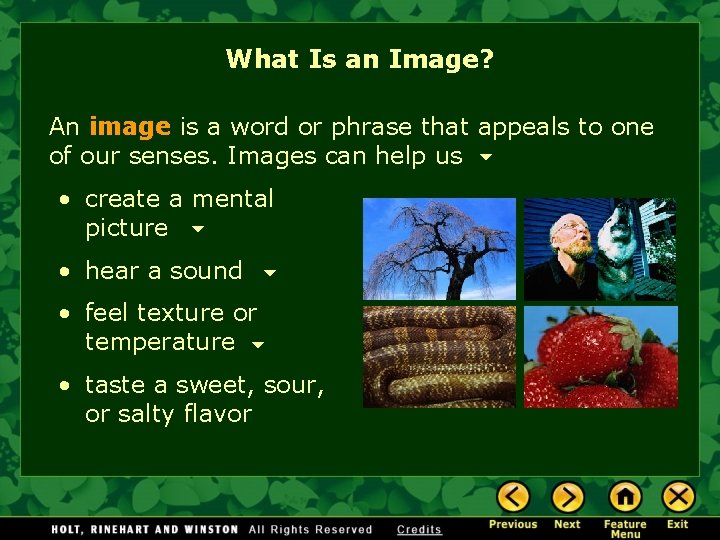 What Is an Image? An image is a word or phrase that appeals to