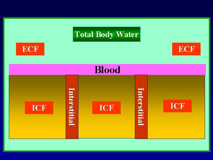 Total Body Water ECF Blood ICF Interstitial ICF BLOOD ICF 