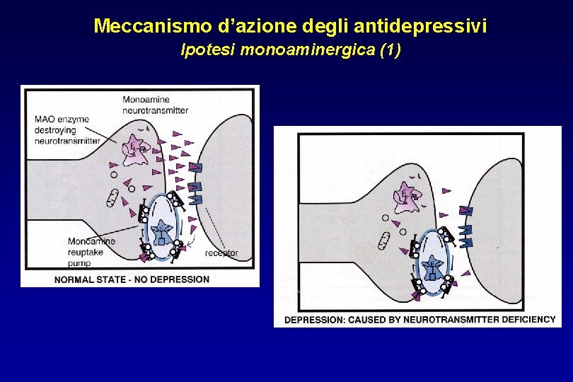 Meccanismo d’azione degli antidepressivi Ipotesi monoaminergica (1) 