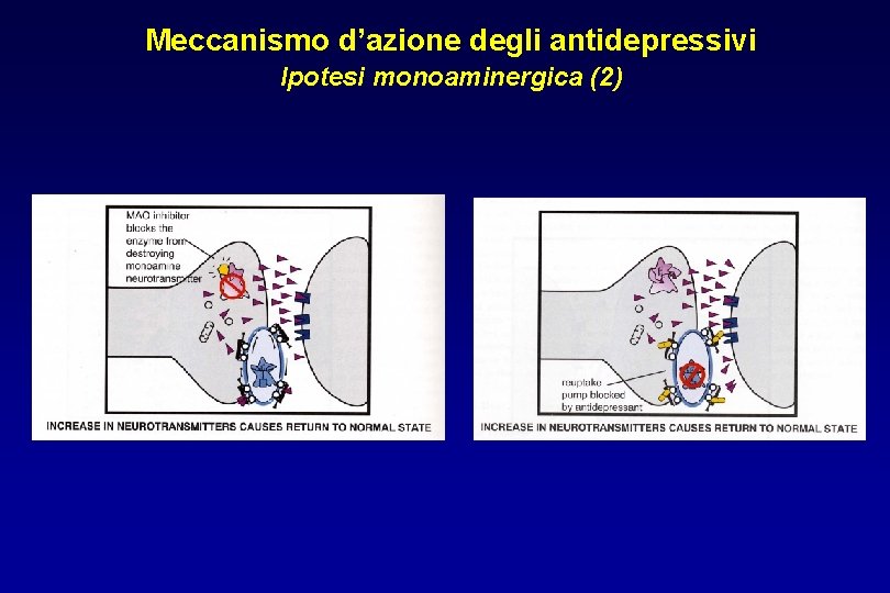 Meccanismo d’azione degli antidepressivi Ipotesi monoaminergica (2) 