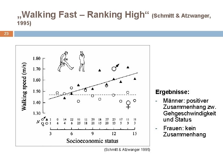 „Walking Fast – Ranking High“ (Schmitt & Atzwanger, 1995) 23 Ergebnisse: - Männer: positiver