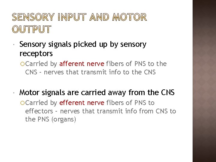  Sensory signals picked up by sensory receptors Carried by afferent nerve fibers of