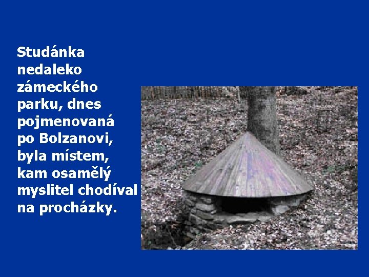Studánka nedaleko zámeckého parku, dnes pojmenovaná po Bolzanovi, byla místem, kam osamělý myslitel chodíval