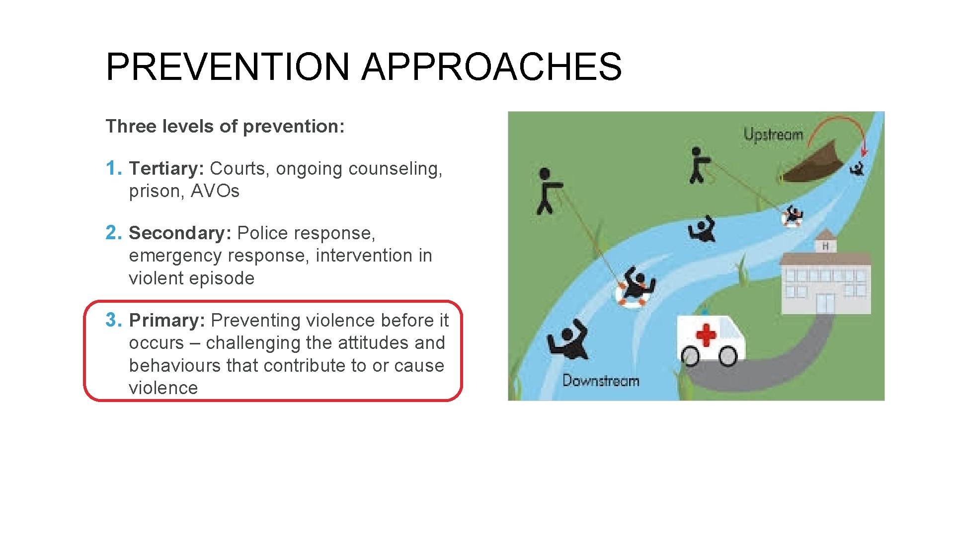 PREVENTION APPROACHES Three levels of prevention: 1. Tertiary: Courts, ongoing counseling, prison, AVOs 2.