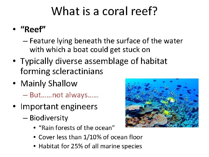 What is a coral reef? • “Reef” – Feature lying beneath the surface of