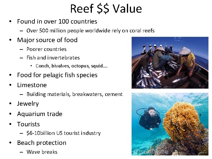 Reef $$ Value • Found in over 100 countries – Over 500 million people