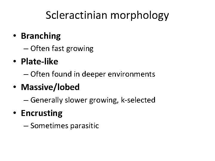 Scleractinian morphology • Branching – Often fast growing • Plate-like – Often found in