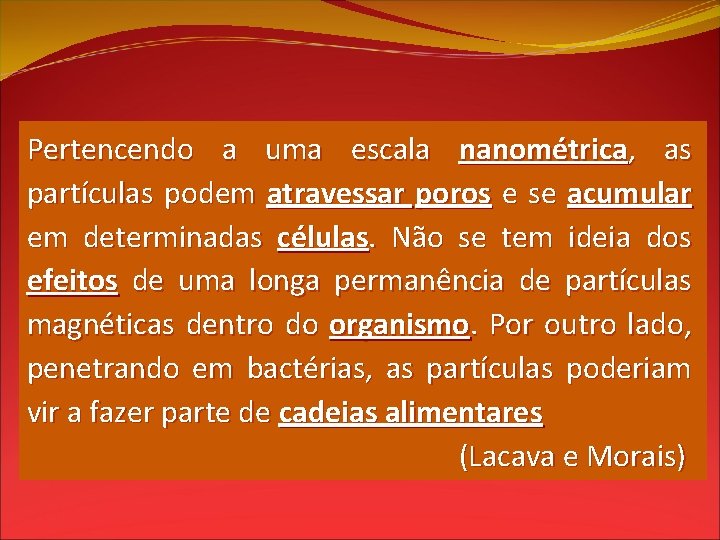 Pertencendo a uma escala nanométrica, as partículas podem atravessar poros e se acumular em