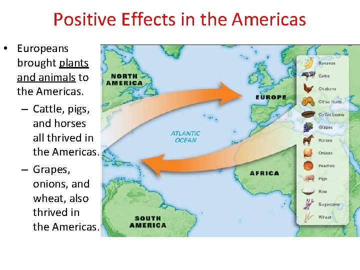 Positive Effects in the Americas • Europeans brought plants and animals to the Americas.