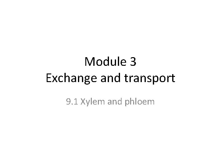 Module 3 Exchange and transport 9. 1 Xylem and phloem 